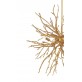 WM503 BRANCHES GOLD